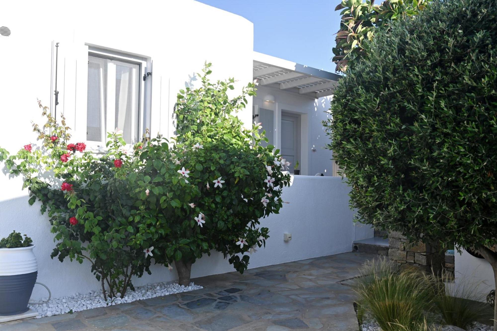 Corina Studios-Apartments Naousa  Exterior photo
